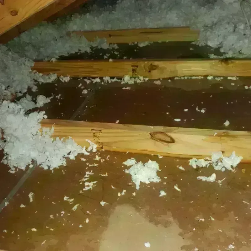 Attic Water Damage in Menomonie, WI